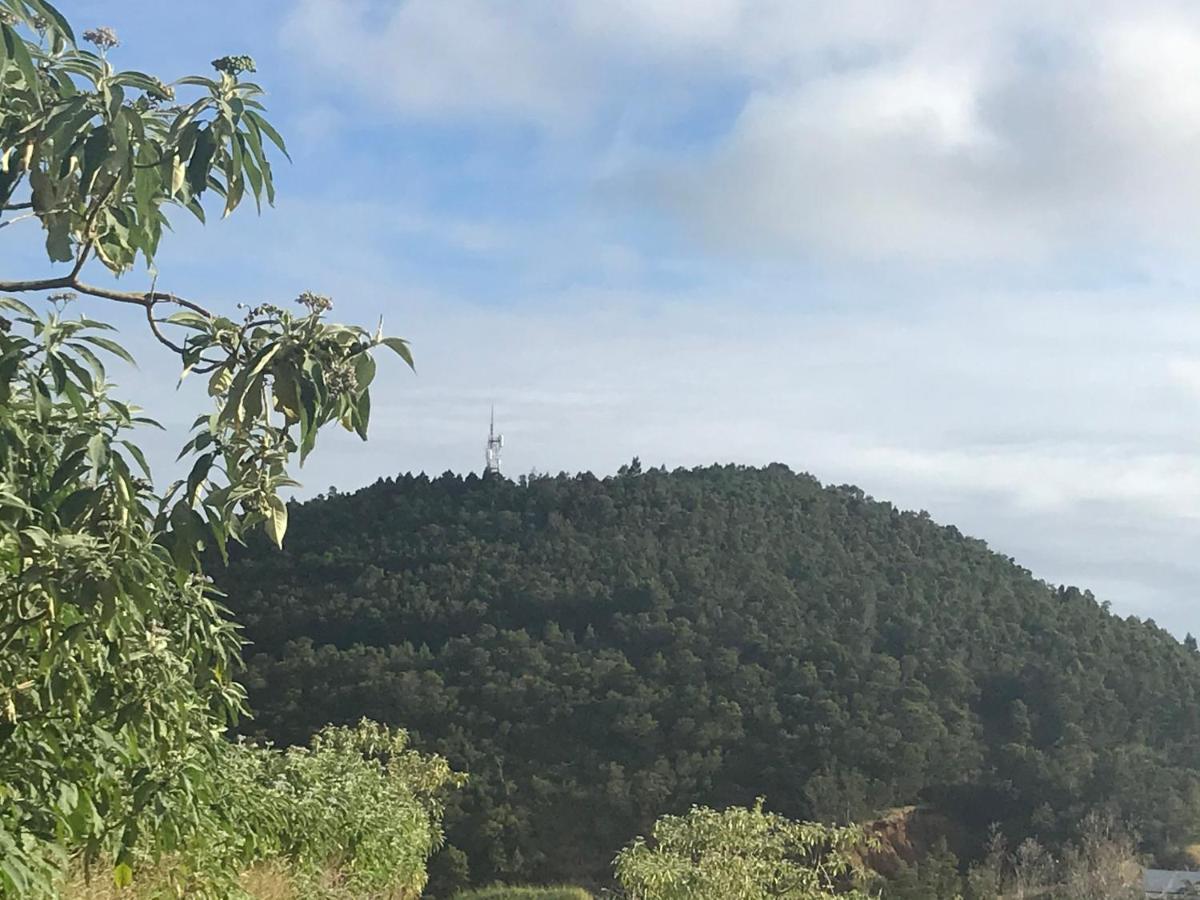 ti Kaz Papang Villa La Plaine des Cafres Kültér fotó